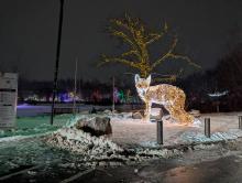 Developing from Scratch with AI - The Vibe Coding Reality