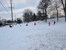 Drupal 7 - Views Handlers... Once Upon a Time! (But Now in Drupal 11)