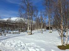 I Built a Memory Bank for My Drupal Agent — Then Got the Token Bill